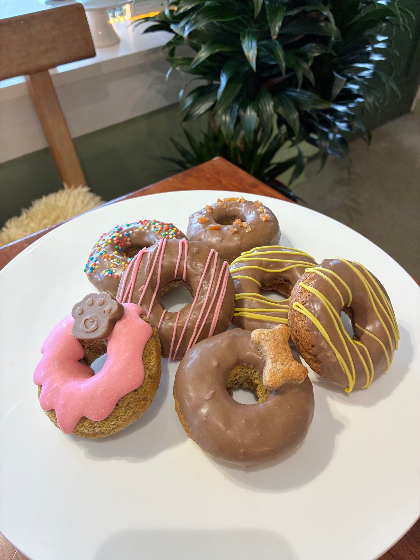 Big donuts