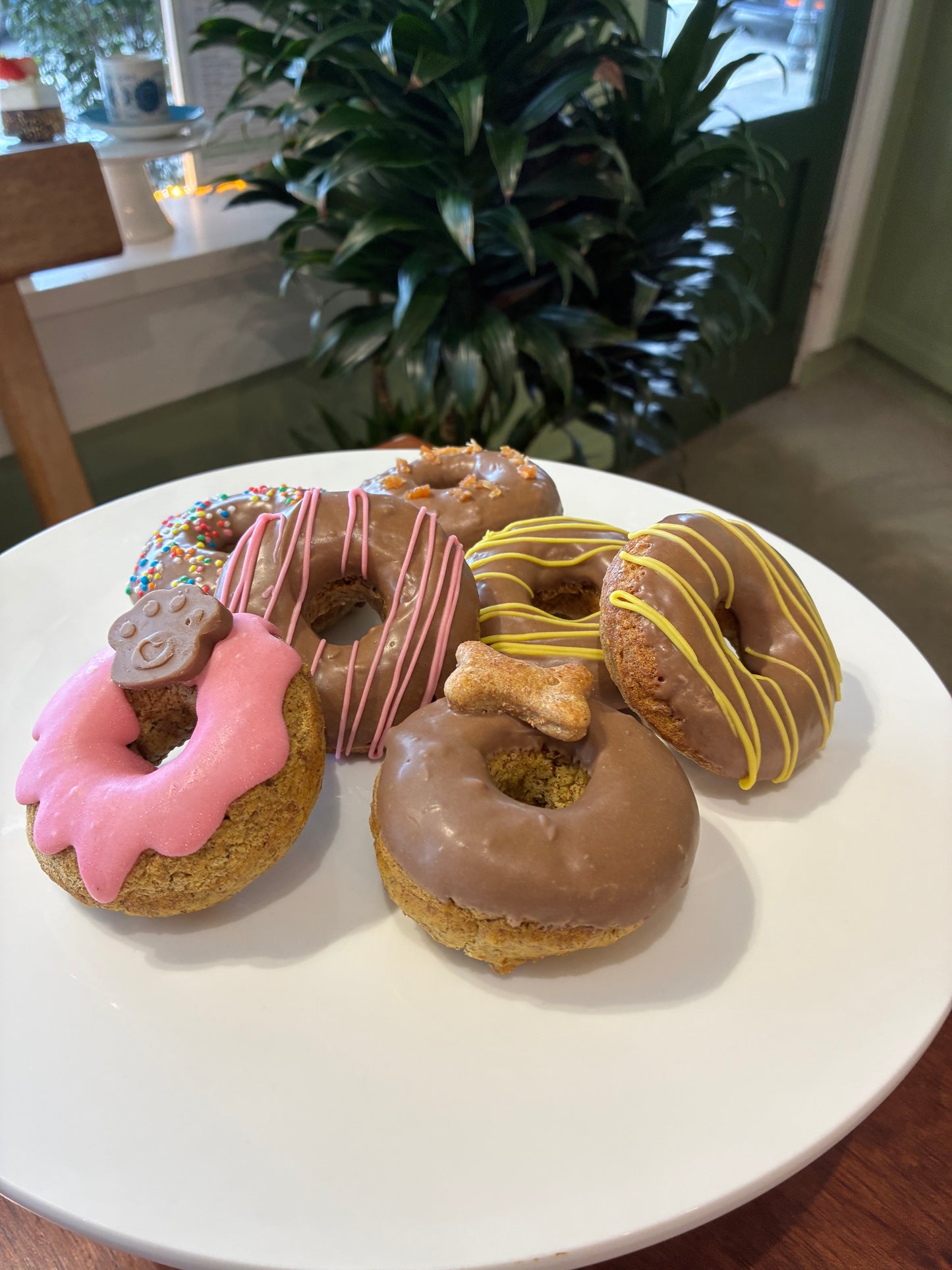 Big donuts