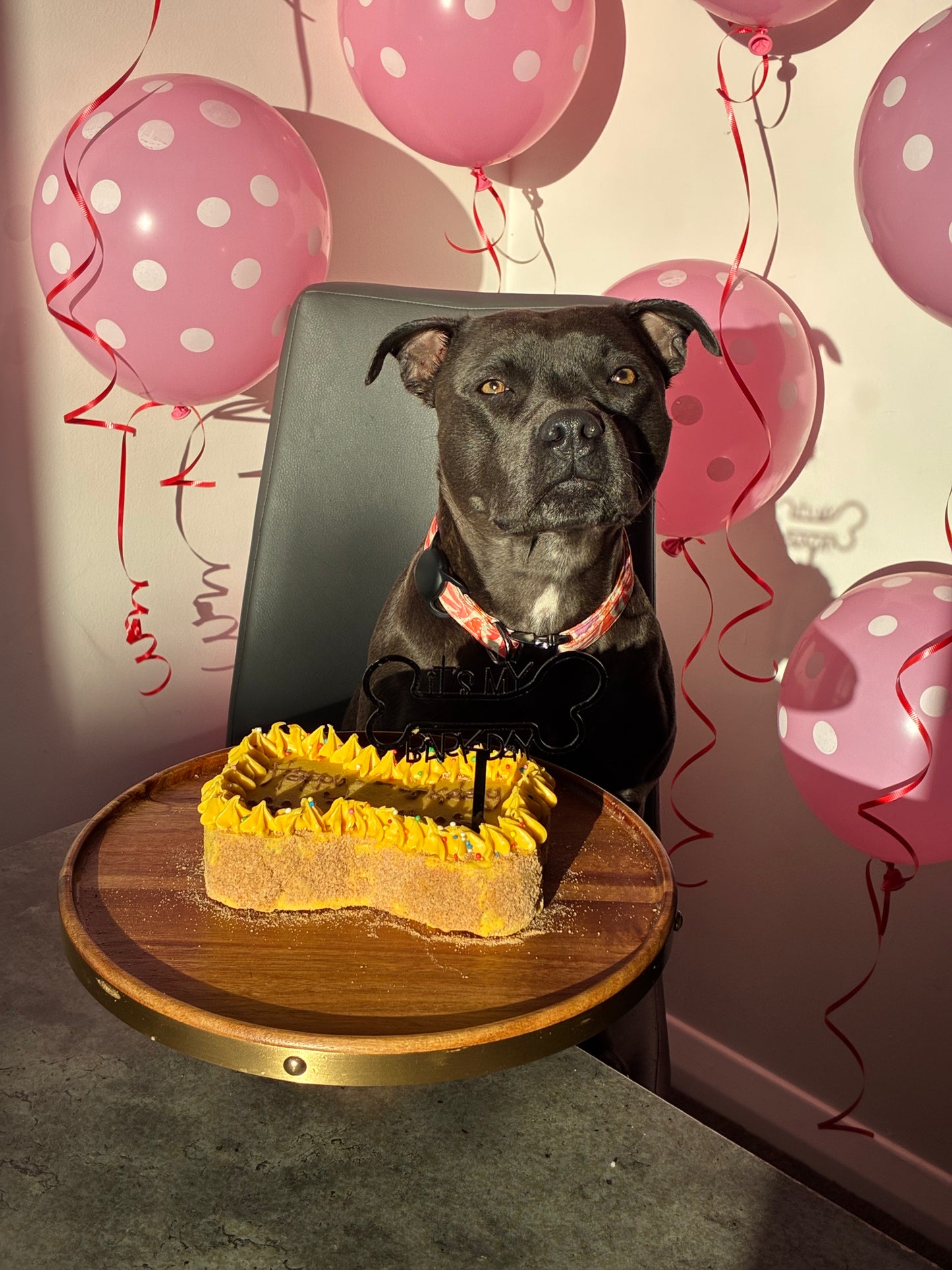 Bone cake