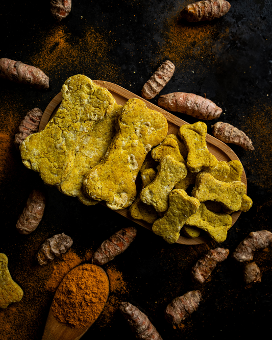 Cheddar Chomp Cookies