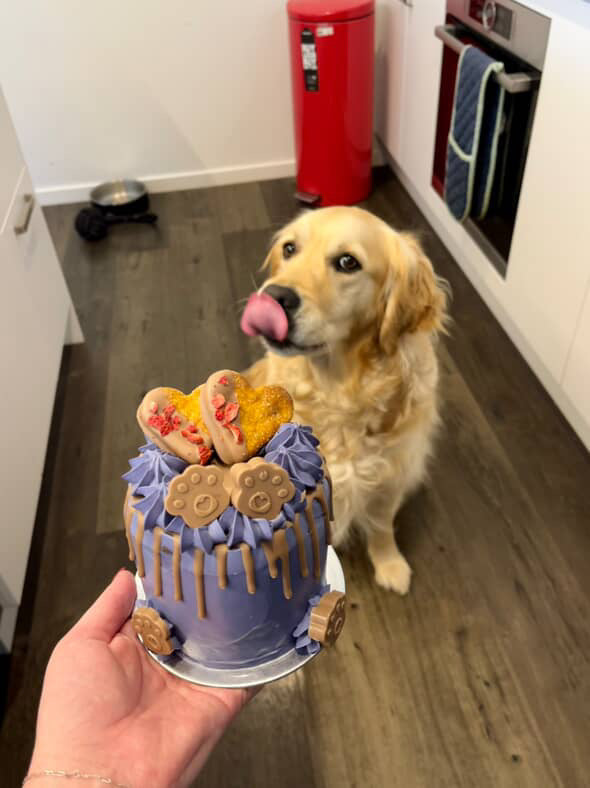 Pawsome pals