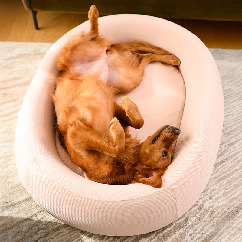Brooklyn® Nest Dog Bed