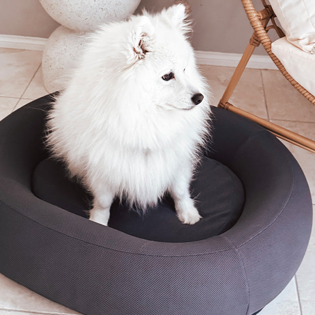 Brooklyn® Nest Dog Bed
