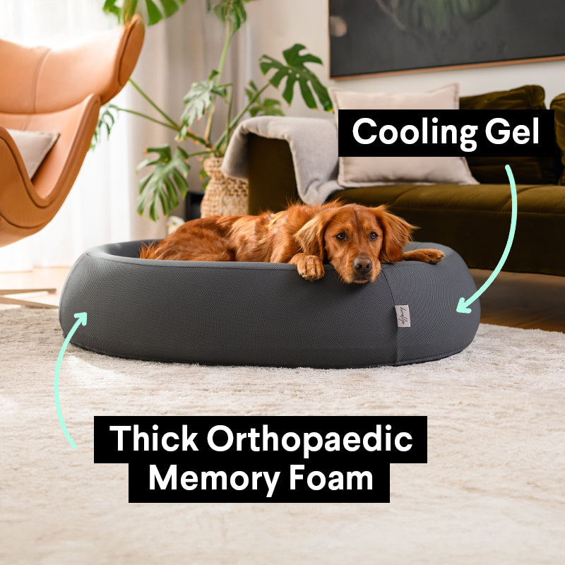 Brooklyn® Nest Dog Bed
